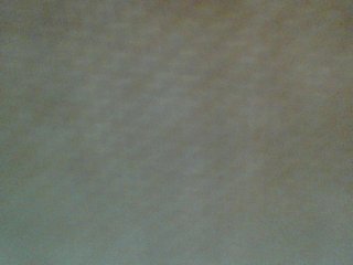 Amanah's Live Webcam