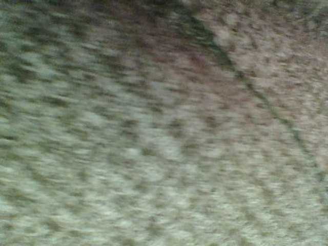 Amanah webcam