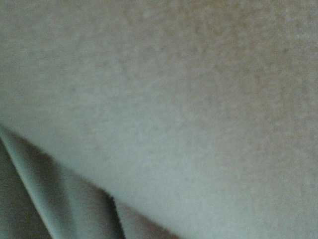 Amanah webcam