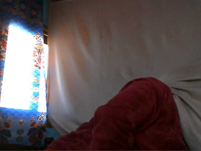 Amanah webcam