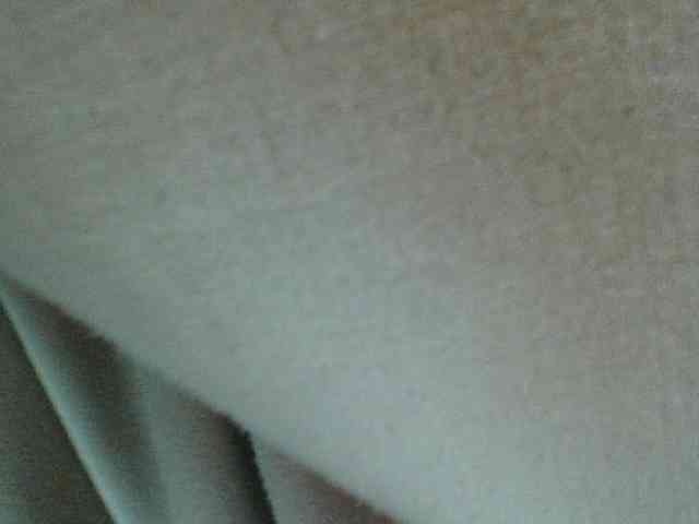Amanah webcam