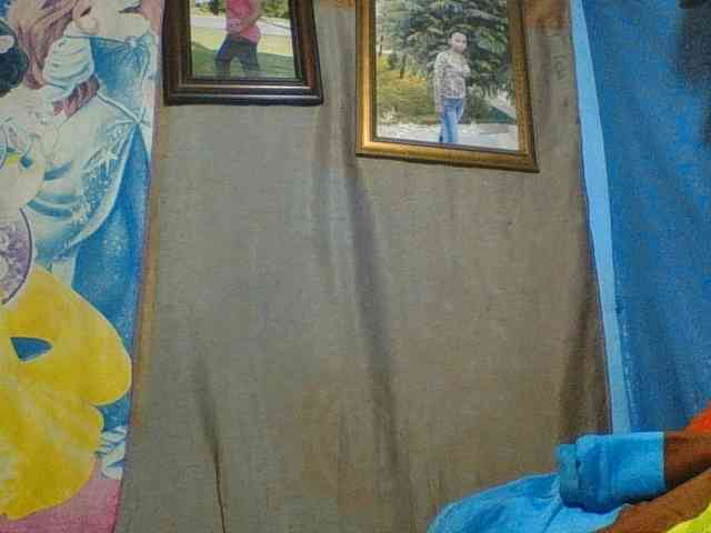 Amanah webcam