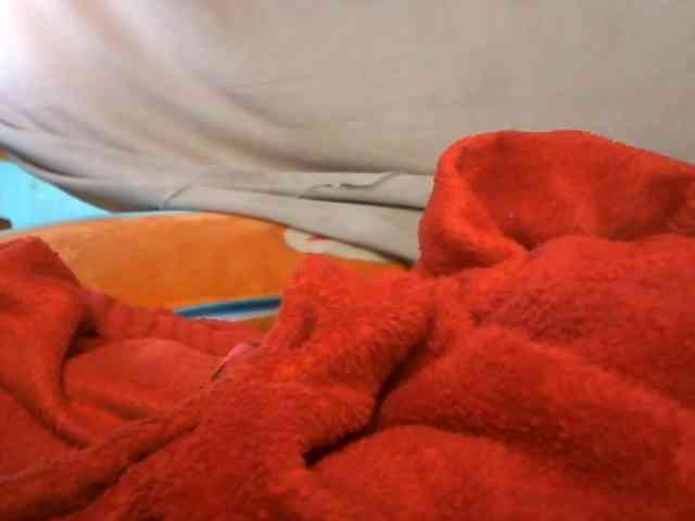 Amanah Amanah