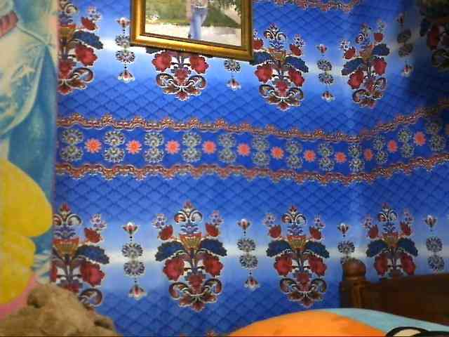 Amanah webcam