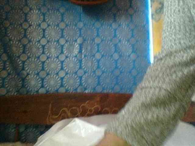 Amanah