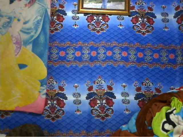 Amanah webcam