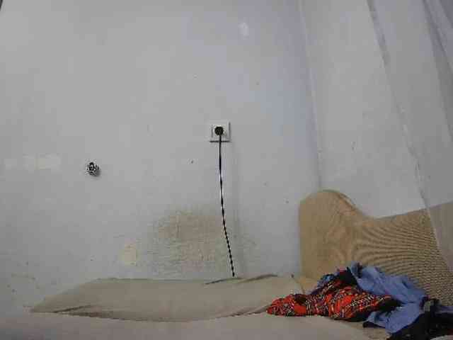 ConnieStasiak webcam