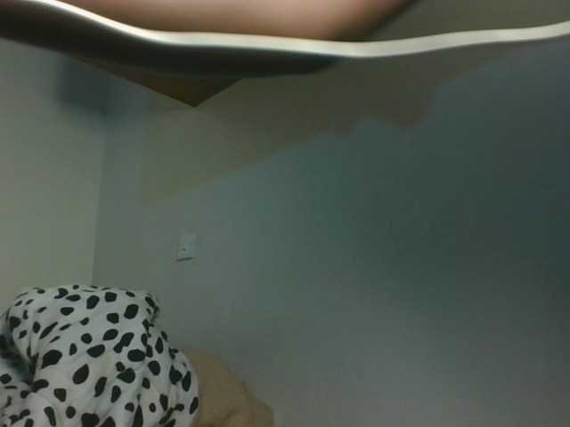 Sexykitten1 webcam