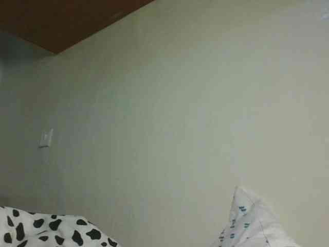 Sexykitten1 webcam