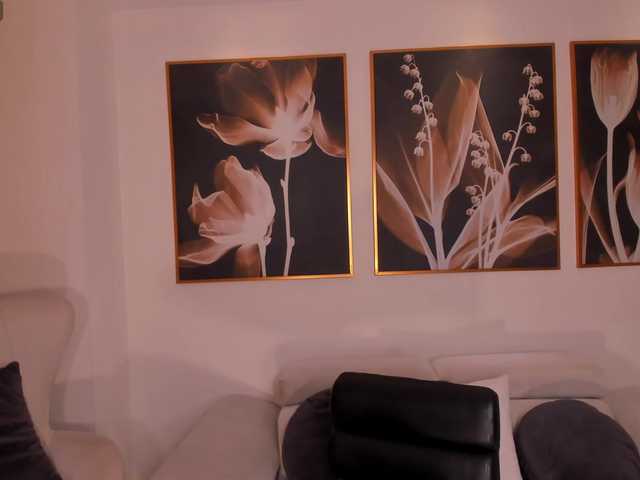 LaurentRosse webcam