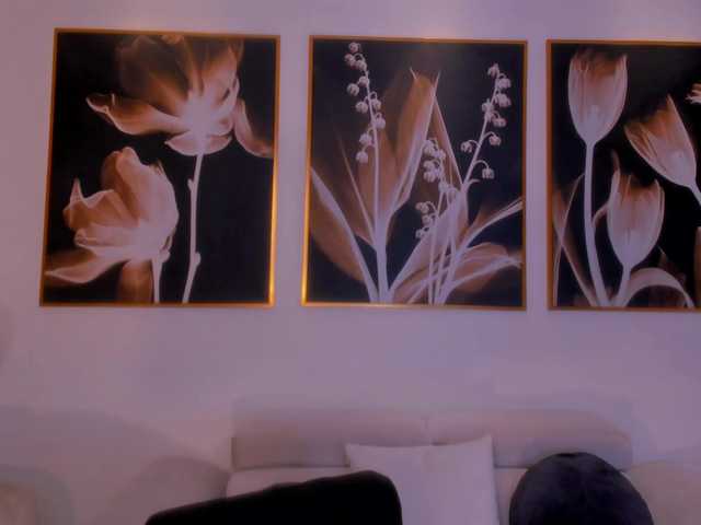 LaurentRosse webcam