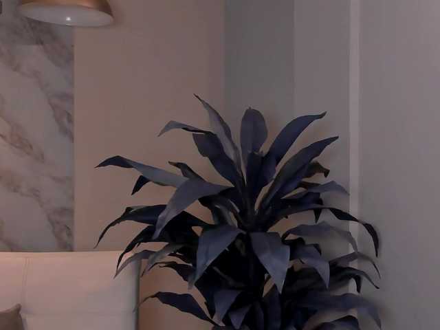 LaurentRosse webcam