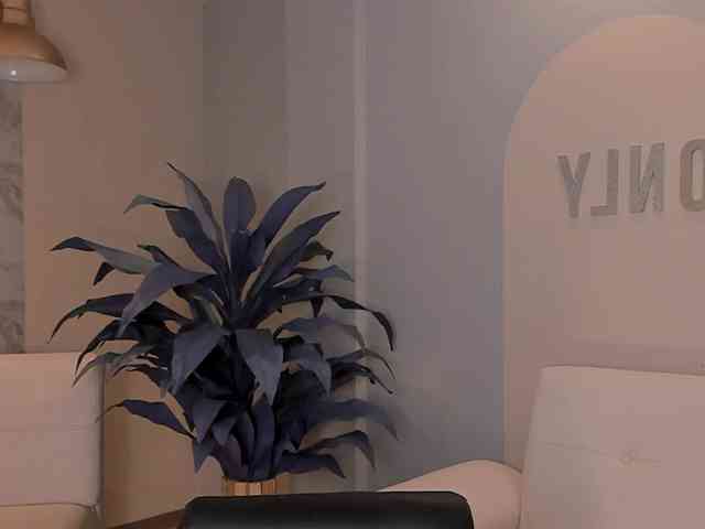 LaurentRosse webcam