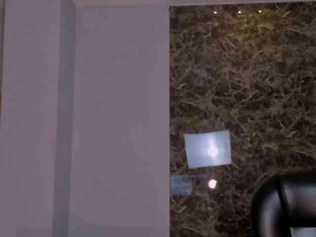LaurentRosse webcam