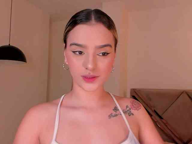LaurentRosse webcam
