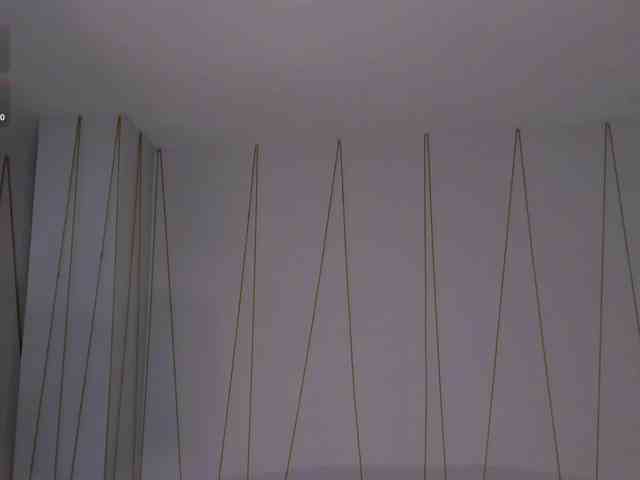 LaurentRosse webcam