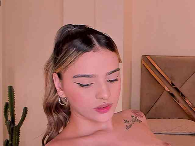 LaurentRosse webcam