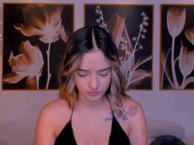 LaurentRosse webcam
