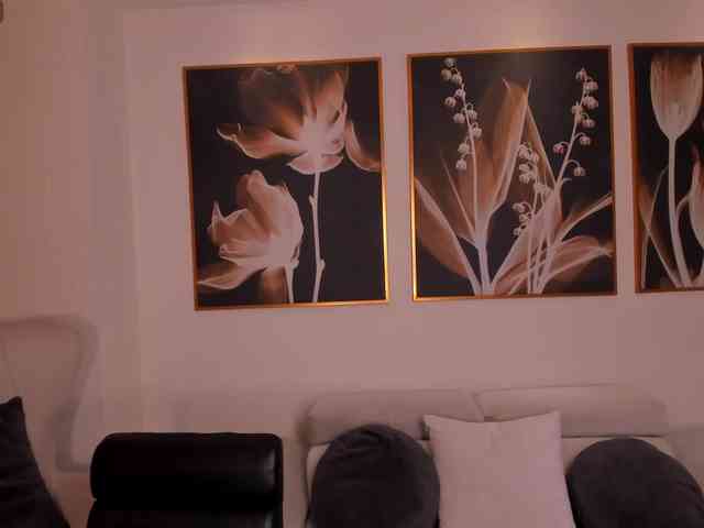 LaurentRosse webcam