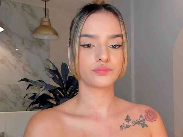 LaurentRosse webcam
