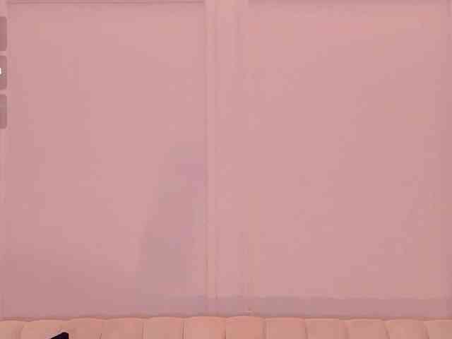 LaurentRosse webcam