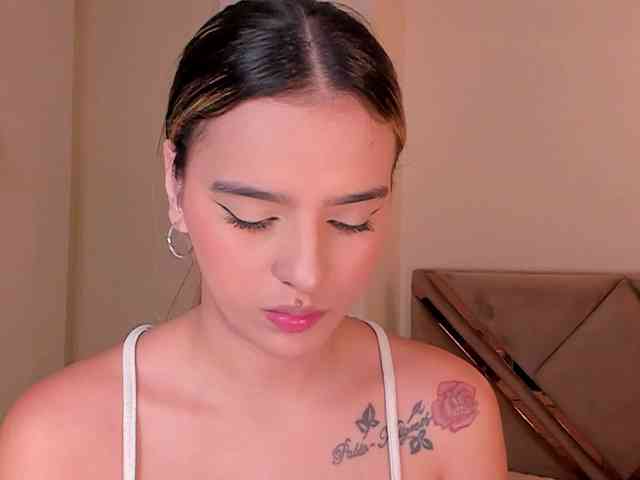 LaurentRosse webcam