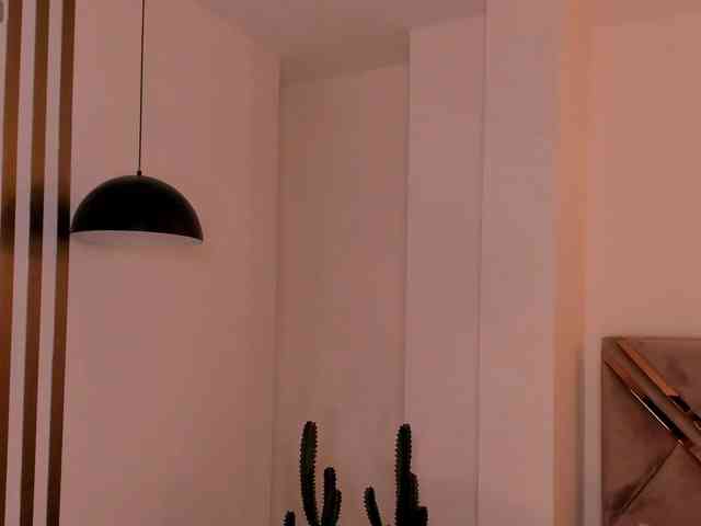 LaurentRosse webcam
