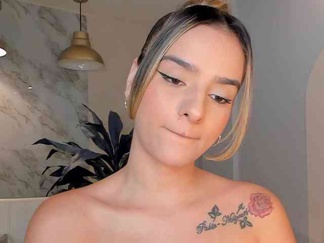 LaurentRosse webcam