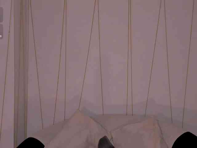 LaurentRosse webcam