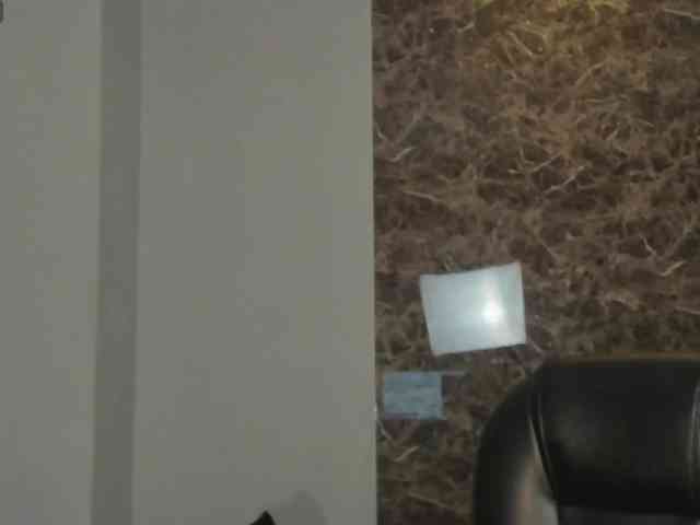 LaurentRosse webcam
