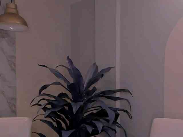 LaurentRosse webcam