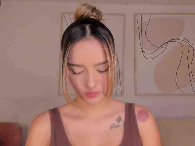 LaurentRosse webcam