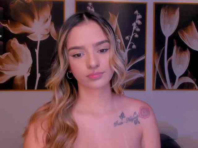 LaurentRosse webcam