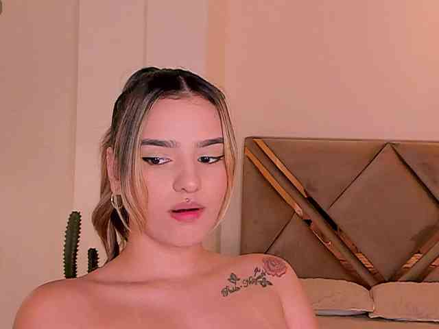 LaurentRosse webcam