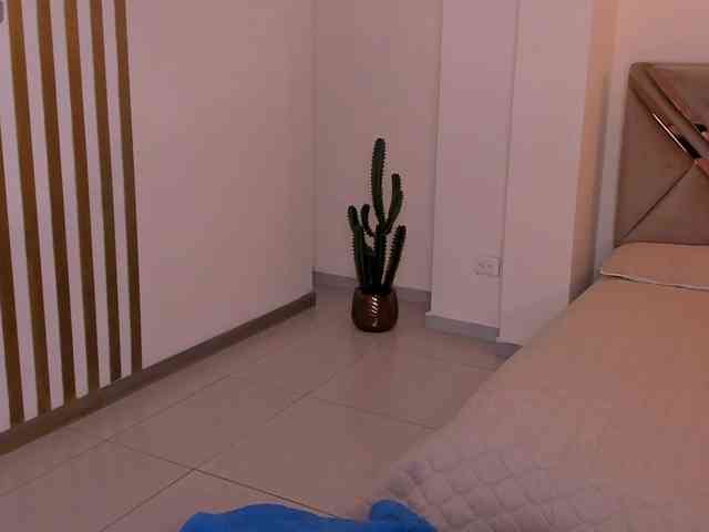 LaurentRosse webcam