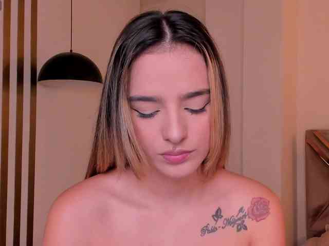 LaurentRosse webcam