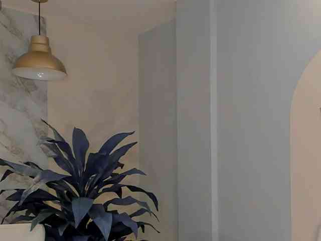 LaurentRosse webcam