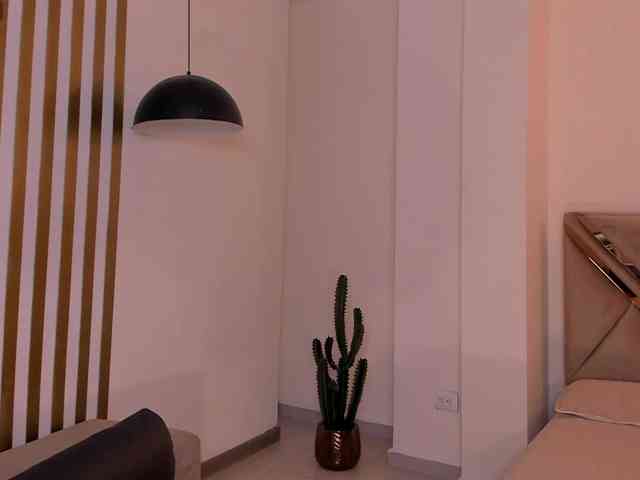 LaurentRosse webcam