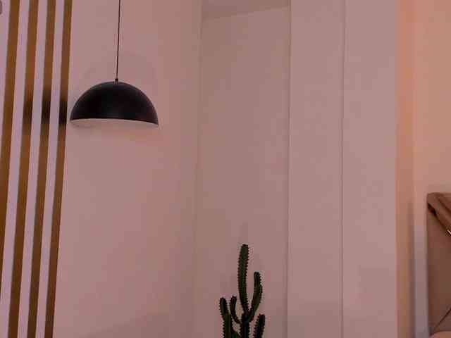LaurentRosse webcam