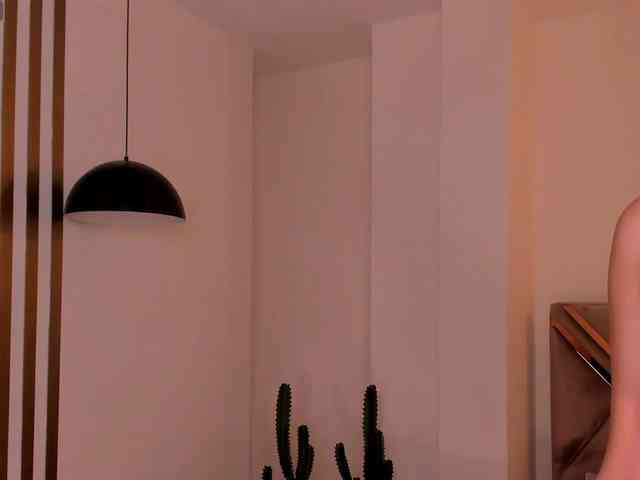 LaurentRosse webcam