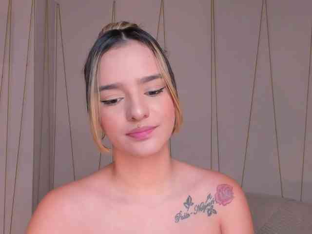 live web cam LaurentRosse