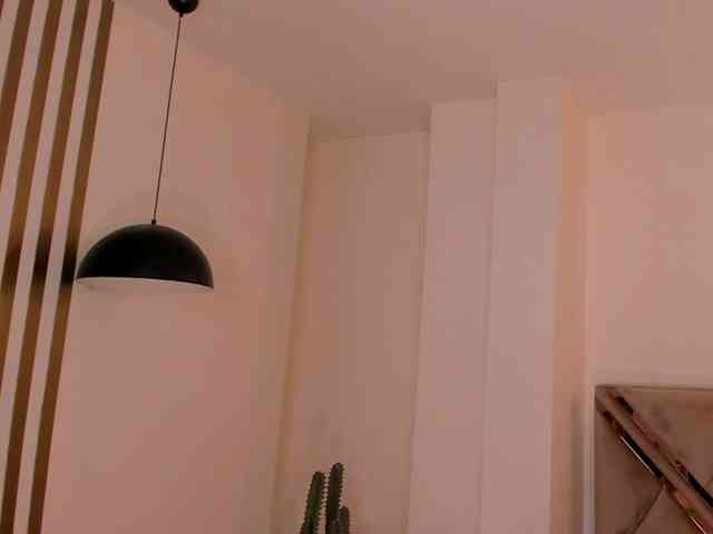 LaurentRosse webcam