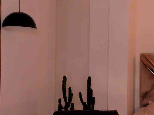 LaurentRosse webcam