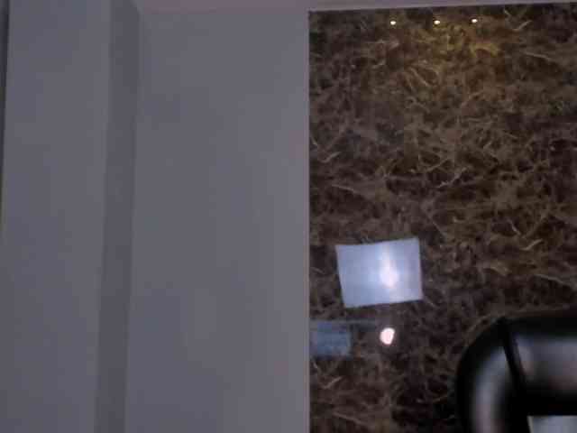 LaurentRosse webcam