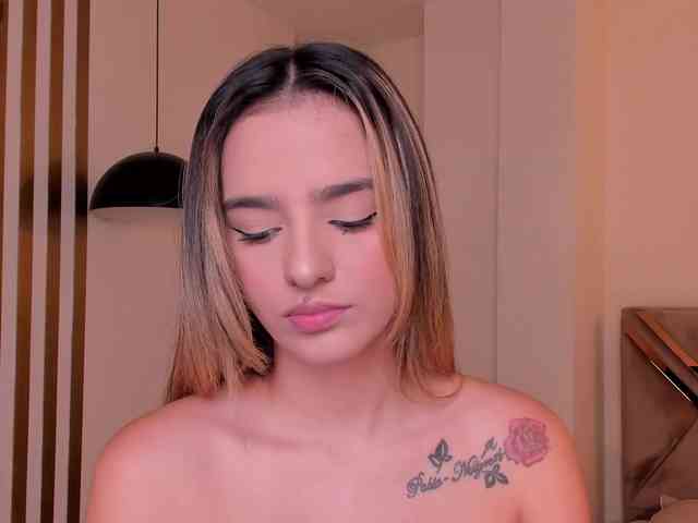 LaurentRosse webcam