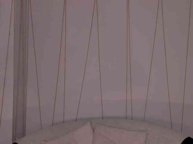 LaurentRosse webcam