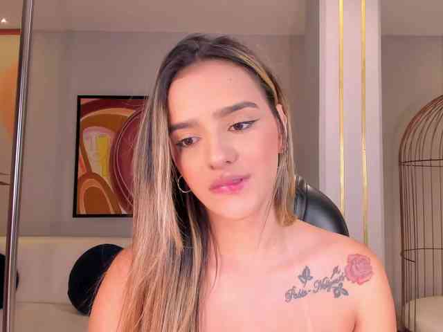 LaurentRosse webcam
