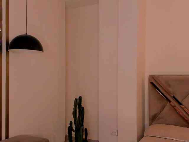 LaurentRosse webcam