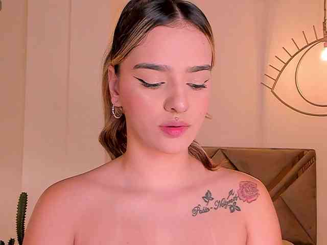 LaurentRosse webcam