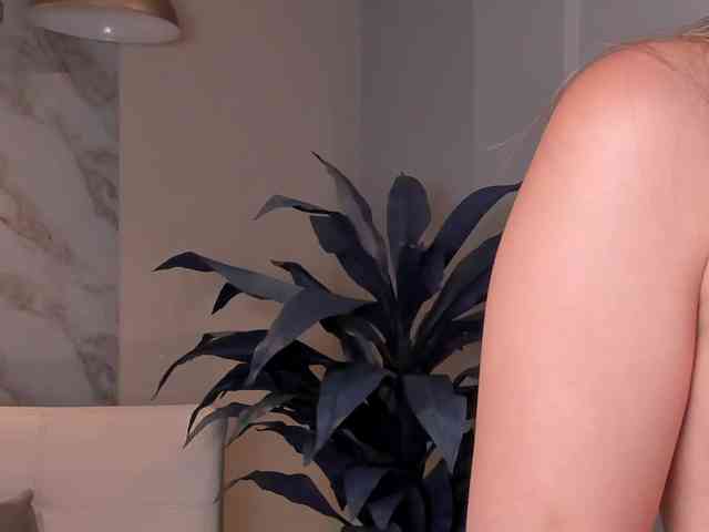 LaurentRosse webcam